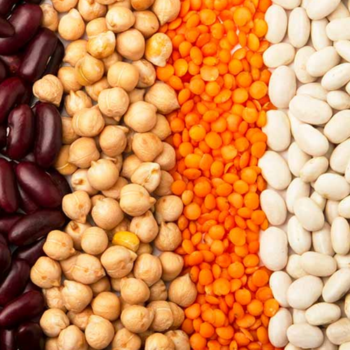 Chickpea and Pulses