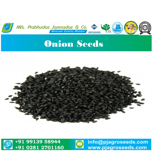 Onion Seeds