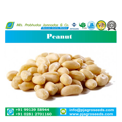 Java Peanut