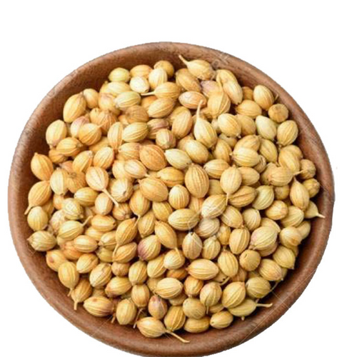 Coriander