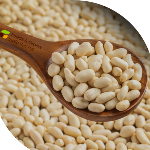 Peanut