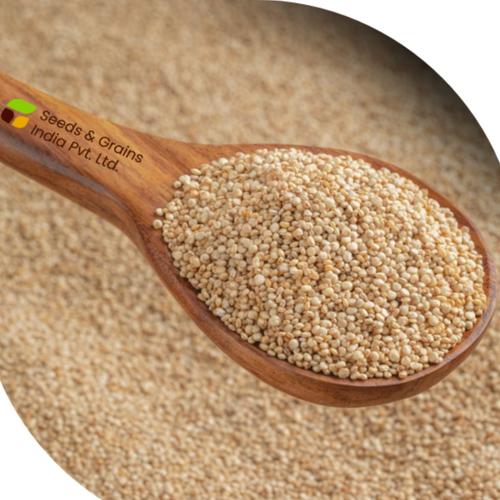 Chia Seeds