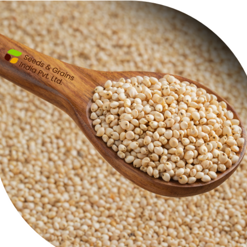 Millet