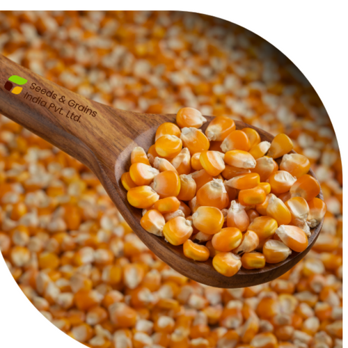 Millet