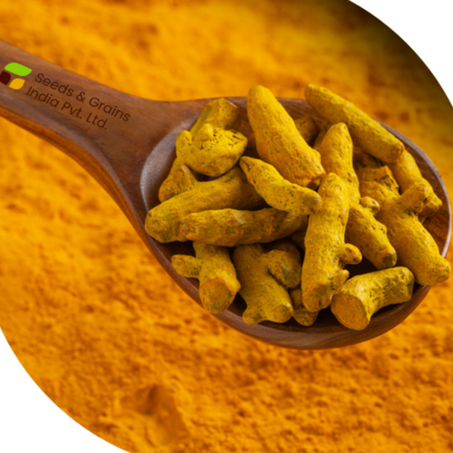 Cumin seeds