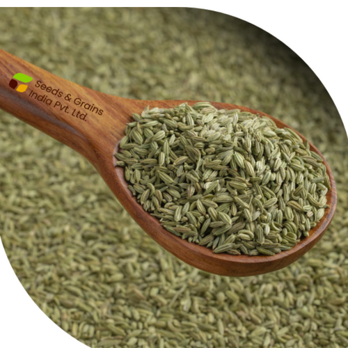 Cumin seeds