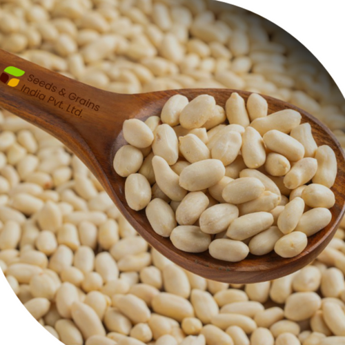 Blanched Peanut