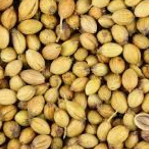Coriander Seeds