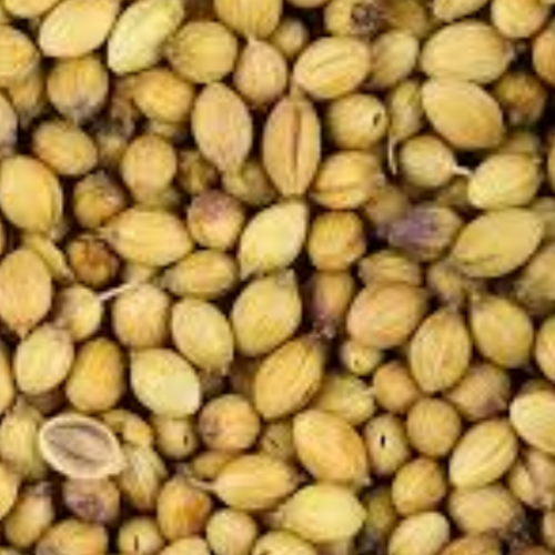 Coriander Seeds