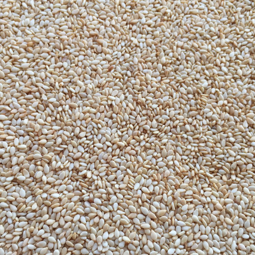 SESAME SEEDS
