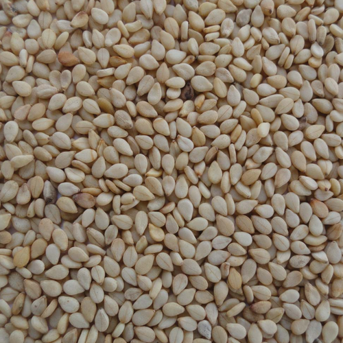 SESAME SEEDS