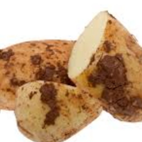 FRESH POTATO