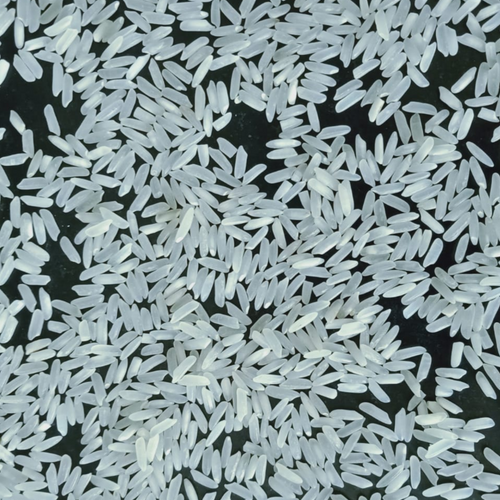 IRRI-6 LONG GRAIN WHITE RICE