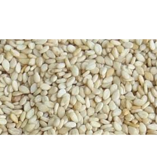 Sesame Seeds
