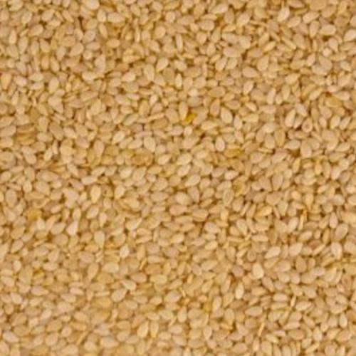 Sesame Seeds