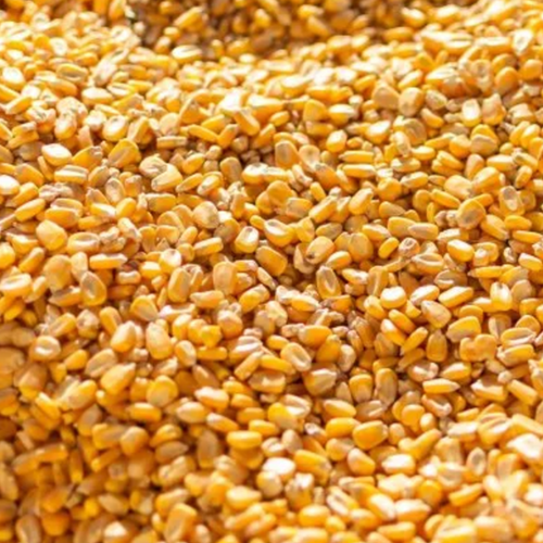 Corn