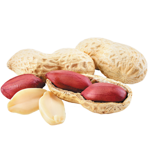 PEANUT