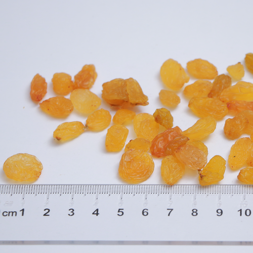 Raisins