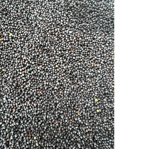 Black mustard seeds