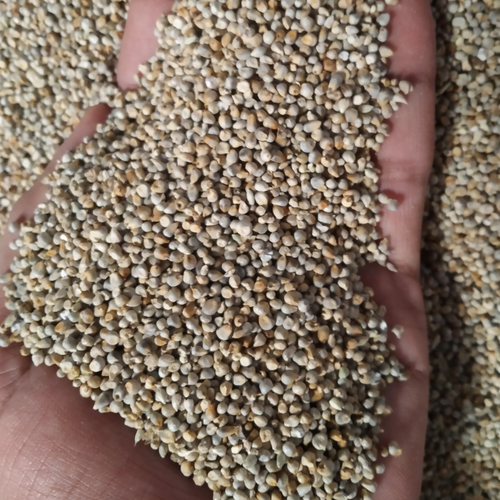 GREEN MILLET