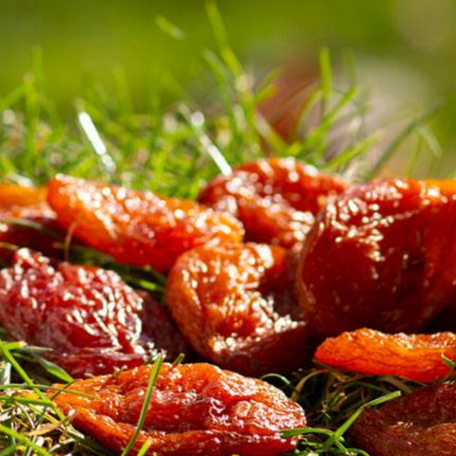 Plum Viktoria