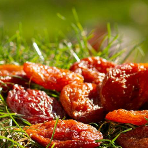 Plum Viktoria