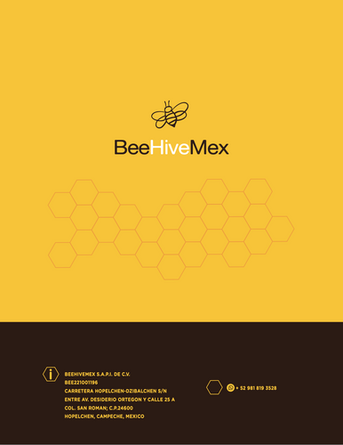 BeeHiveMex