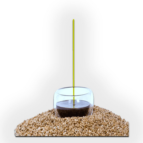 Hemp Oil