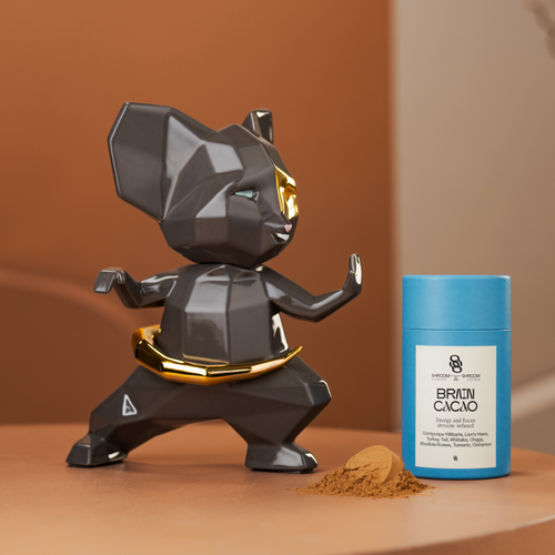 BRAIN CACAO