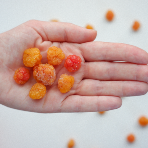 Cloudberries