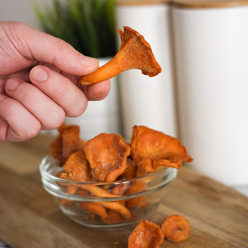 Chanterelles
