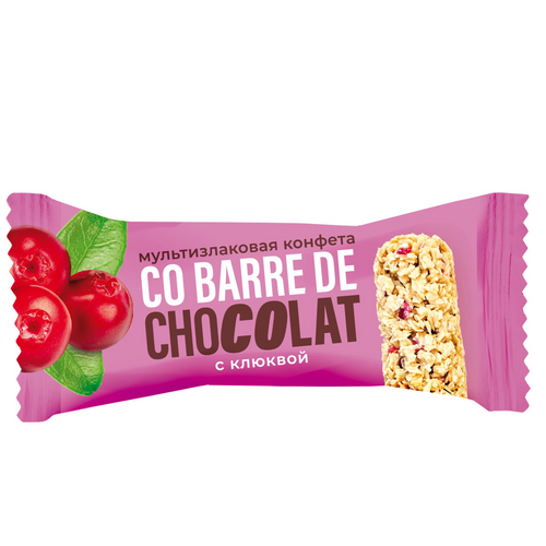 Multigrain bar Co barre de CHOCOLAT with cranberry