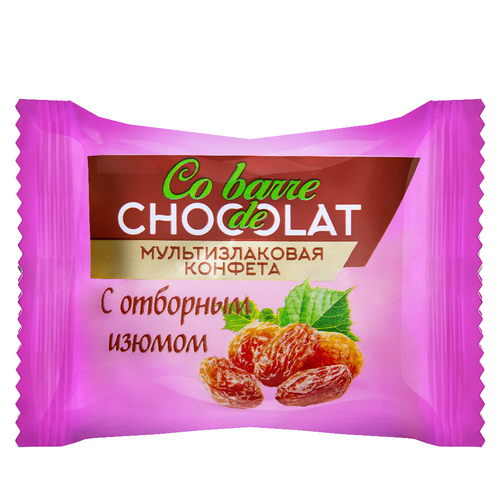 Multigrain bar Co barre de CHOCOLAT with selected raisins