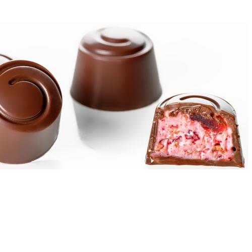 Dried Fruits chocolates
