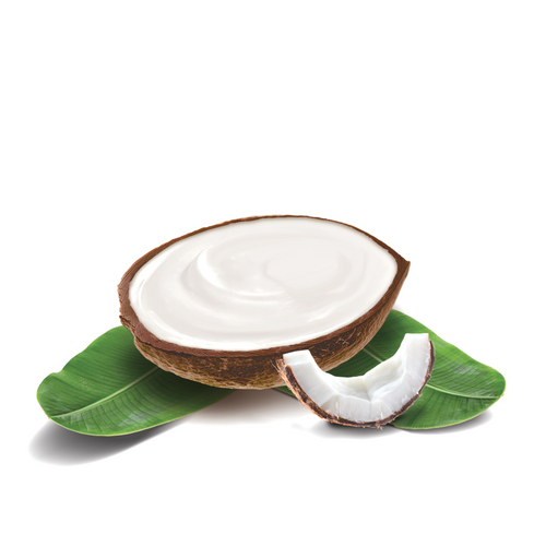 Heavenly Coconut - Island Way Sorbet Ice Cream