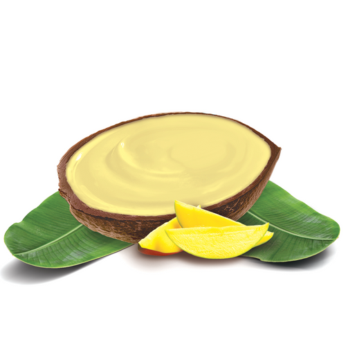 Mango Coconut - Island Way Sorbet Ice Cream