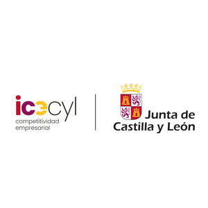 ICECYL - INSTITUTO PARA LA COMPETITIVIDAD EMPRESARIAL DE CASTILLA Y LEON