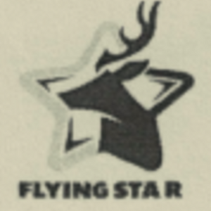 Flying Star General Trading LLC