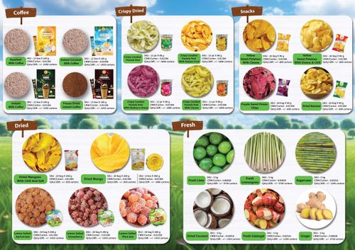 TILI Products Brochure