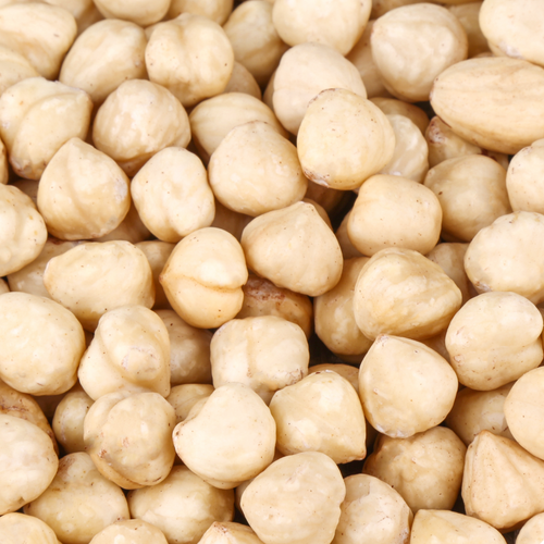 Roasted / Blanched hazelnuts