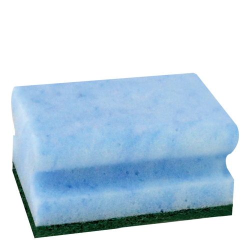 Marbled Grooved Sponge