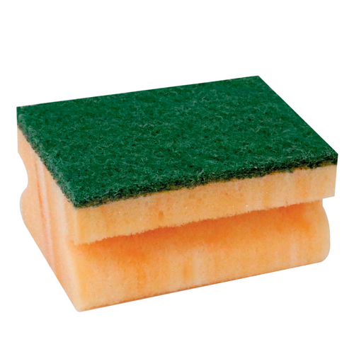 Marbled Grooved Sponge