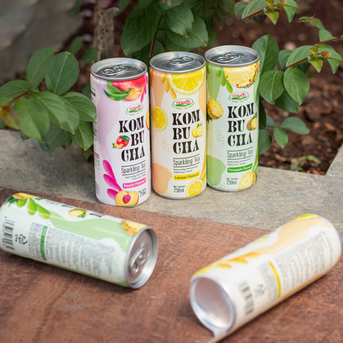 Manufacture Beverage From Viet Nam Hot Selling Kombucha Sparkling Drink  3 Flavor Free Sample Add Private Label OEM ODM