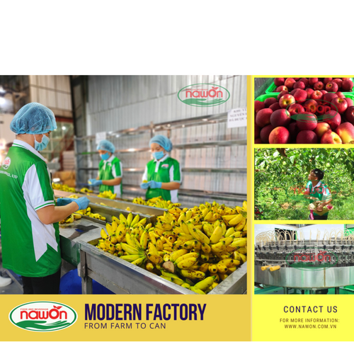 NAWON Vietnam VEGAN Cocogurt with Nata de Coco Fruit Flavor  Yogurt Drink OEM ODM Private Label HALAL KOSHER Free Sample