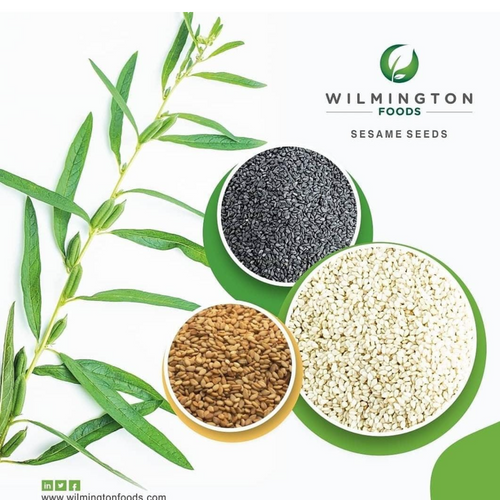 Mechanically Hulled Autodried Sortexed Sesame Seeds