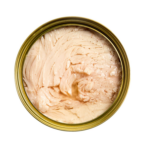 Kasia Yellowfin Tuna in Water