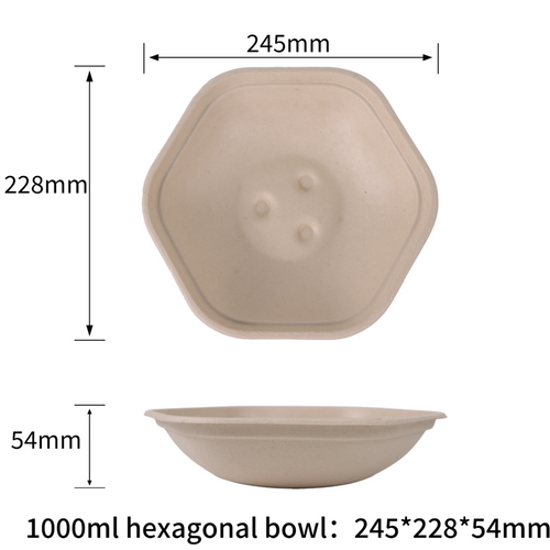 Eco-friendly and compostable sugarcane pulp hexagonal bowl