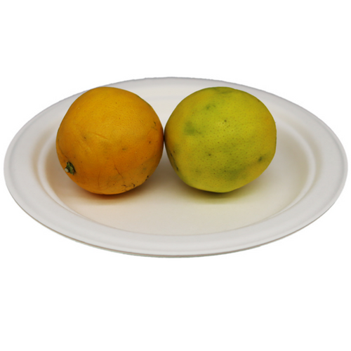 100% Compostable 7 Inch Heavy Duty Disposable Plates Plates - Eco-Friendly, Biodegradable Sugarcane Bagasse Dinner Plate Disposable