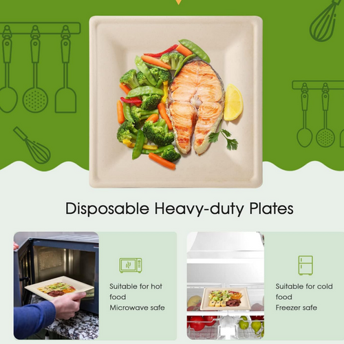 8 inch Compostable Paper Plates Square Plates Disposable Eco-Friendly Biodegradable Made of Sugarcane Fibers