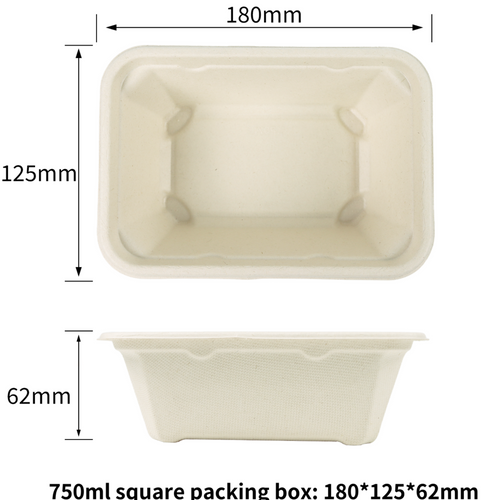 550ml eco-friendly compostable sugarcane pulp square box